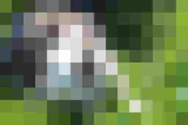 Kleines Kaninchen auf saftigem Gras am Bauernhof mit Spielen für Kinder im Salzburger Land.