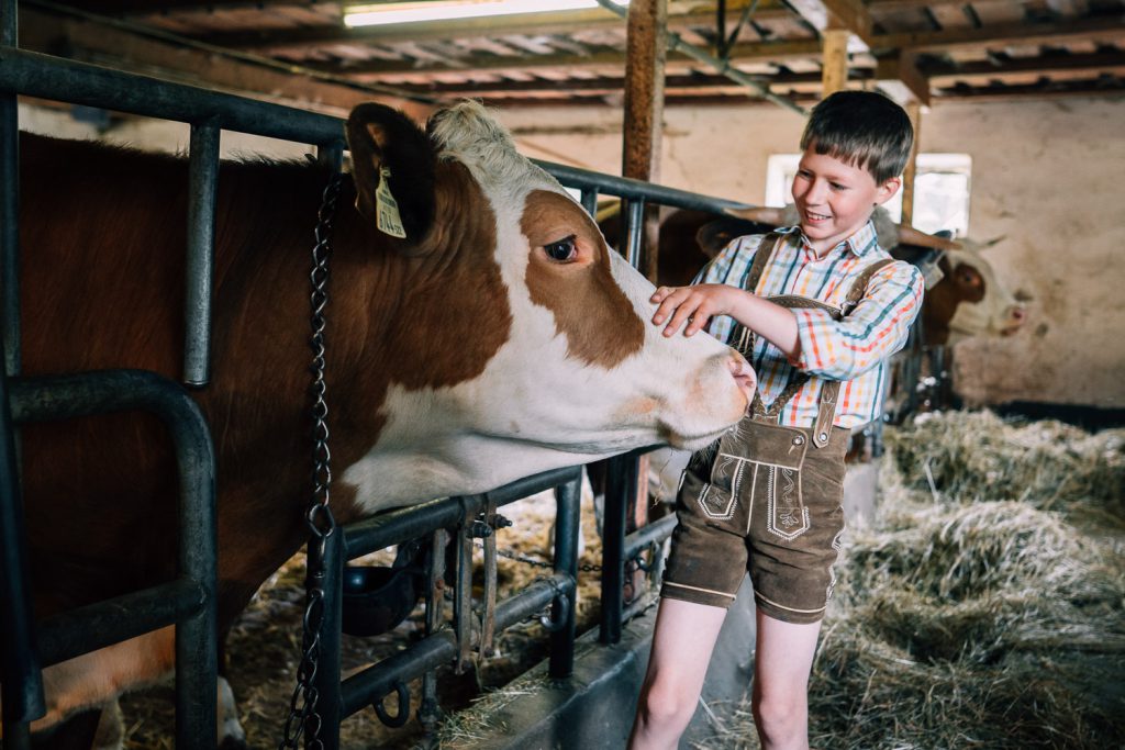 Junge in Lederhose streichelt Kuh im Stall Bauernhofurlaub Kinder Natur erleben